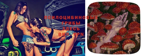 круглые Белокуриха